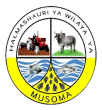 Musoma District Council